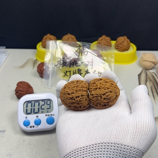核桃核桃等经济作物和蔬菜的种植