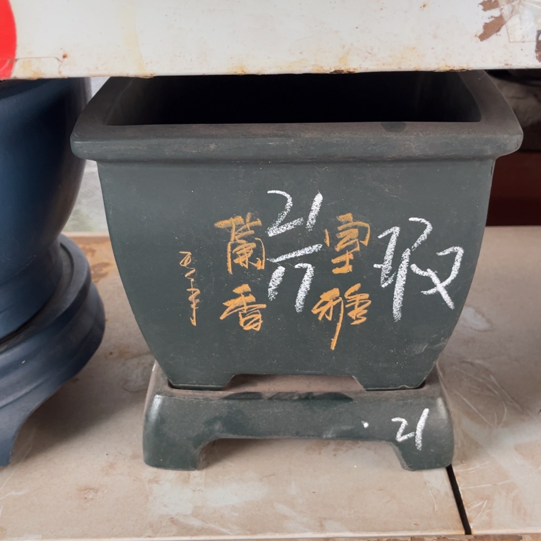 紫砂花盆盆景艺术