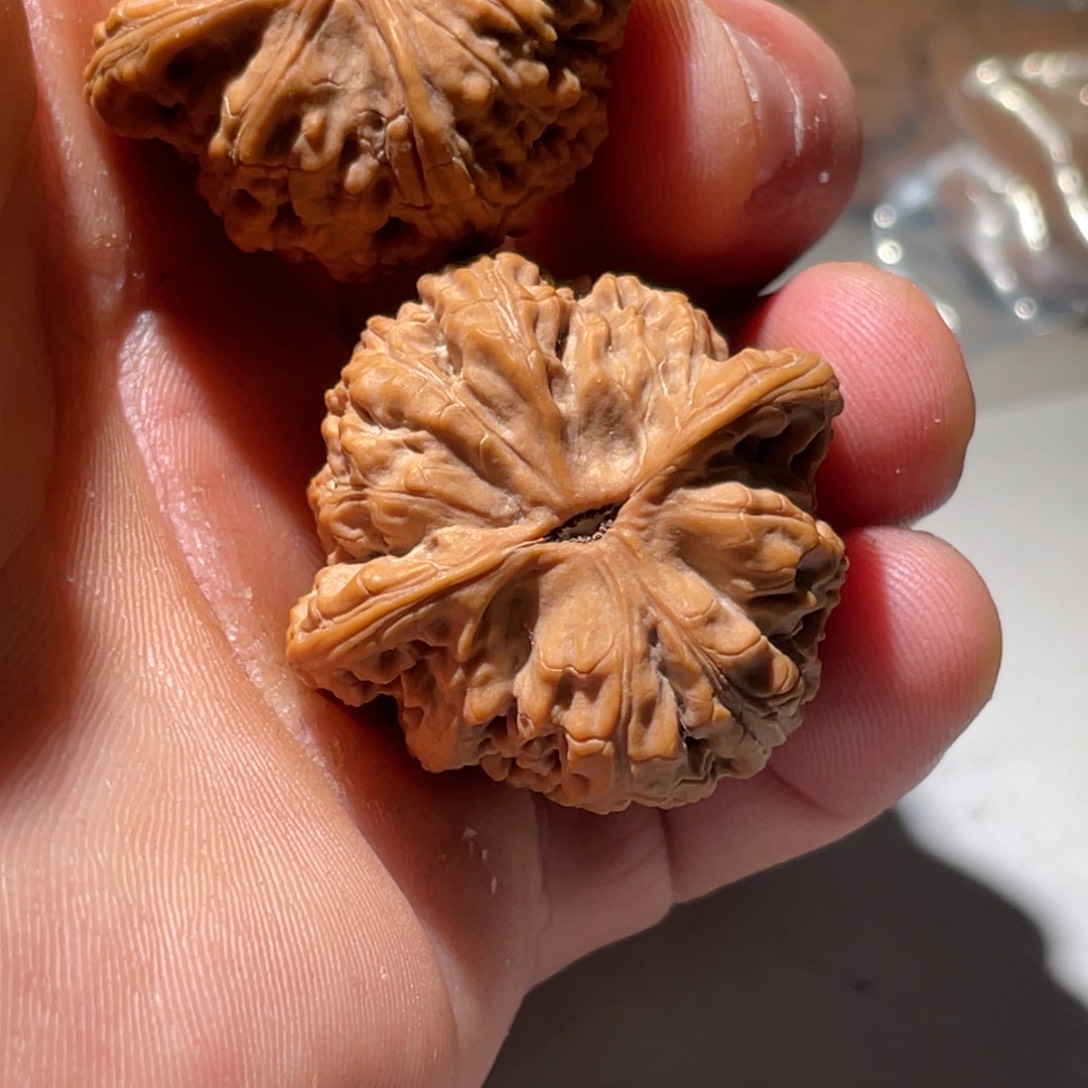 文玩核桃吊坠了*李36全品密纹