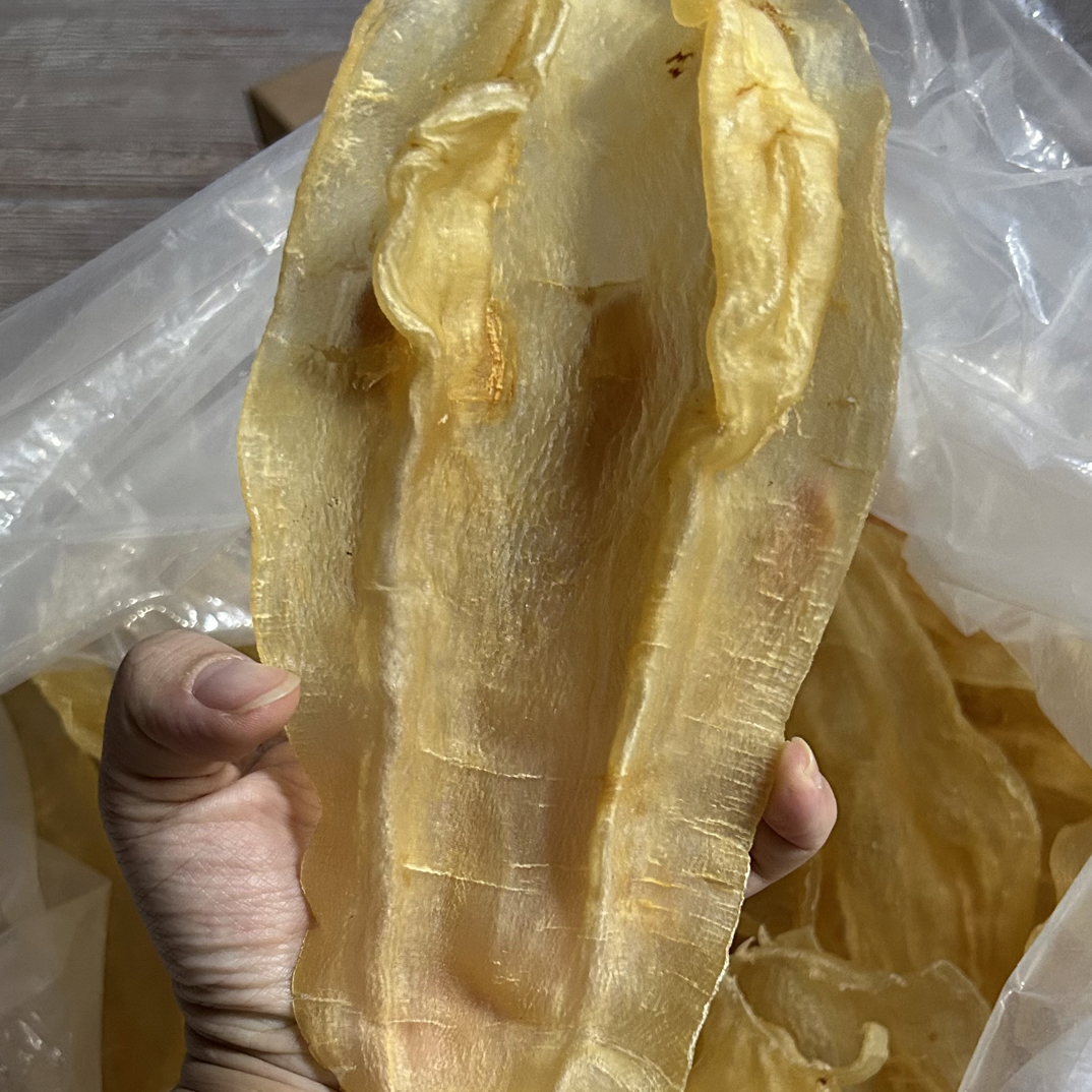 北海鳘  北海母花胶鱼胶孕妇月子滋补品干货厚肉正品