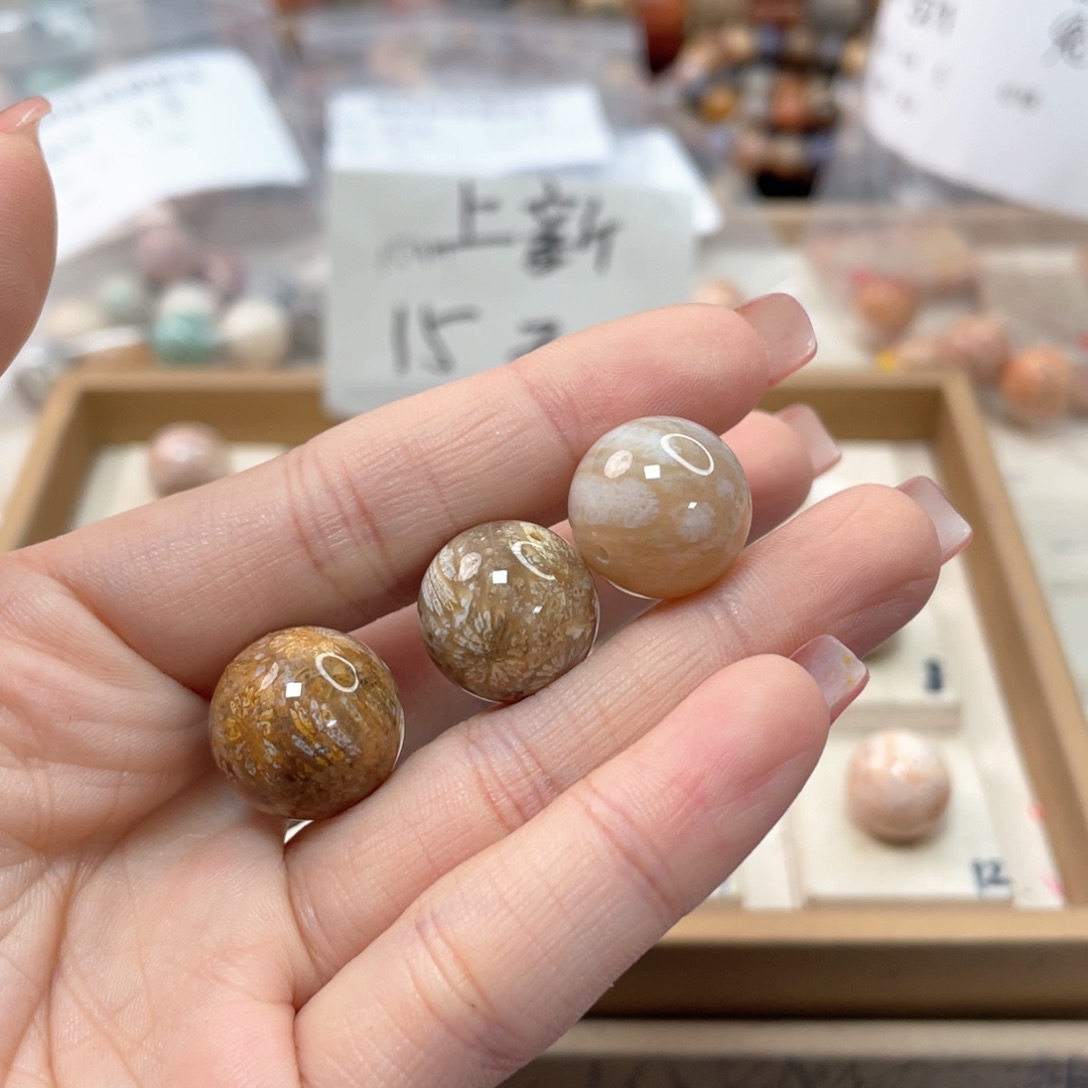 未镶嵌手链硅化珊瑚（珊瑚玉）拜*563