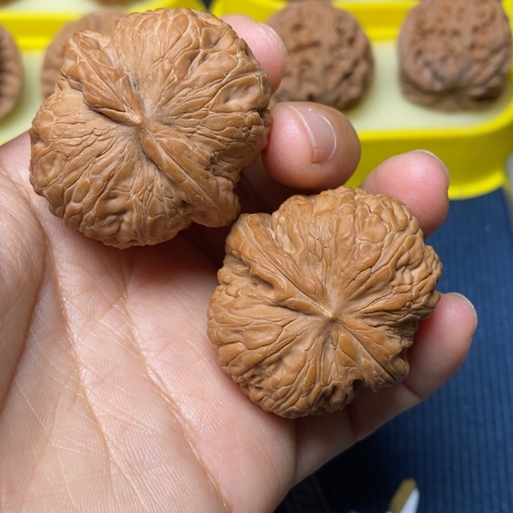 文玩核桃全品元宝41