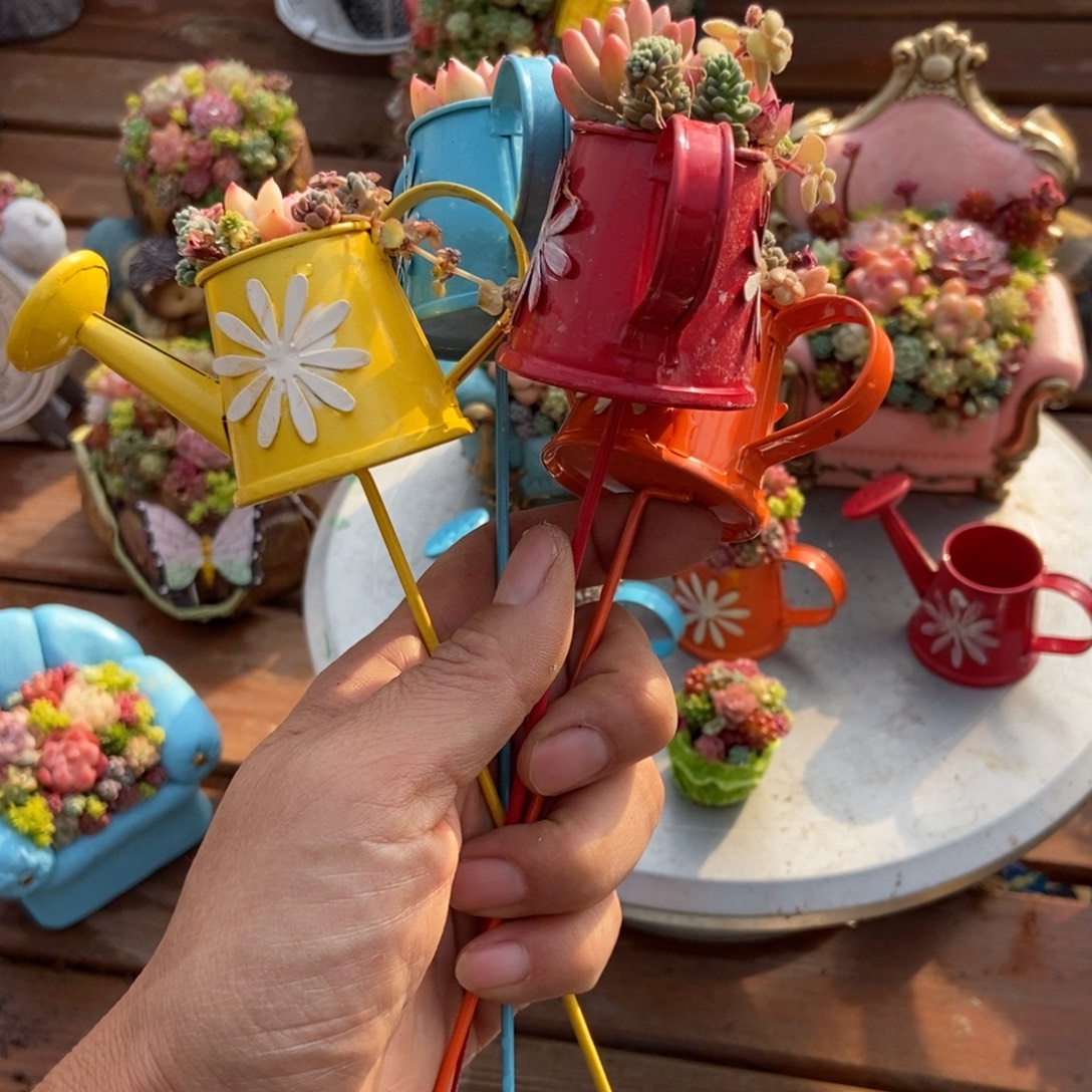 4个水壶好看的不同颜色不带植物