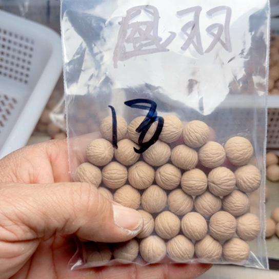 地***贾福希猴头凤羽过筛13十