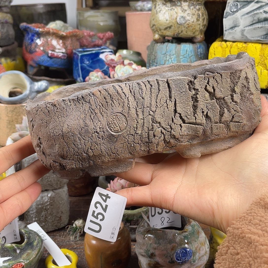 默认微次 元旦福利 坛子姐花盆