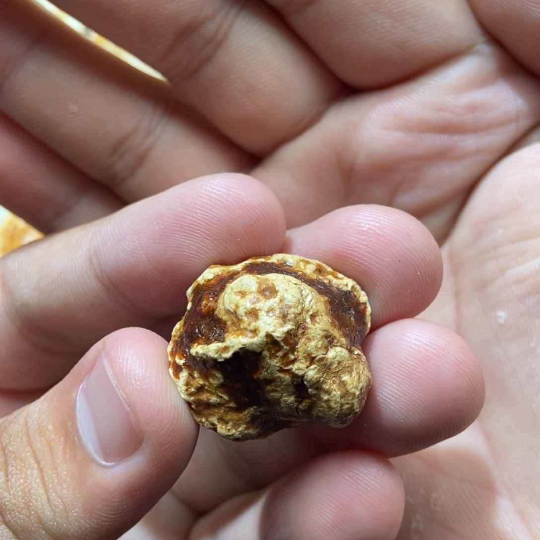 定制琥珀未镶嵌琥珀蜜蜡原石定制