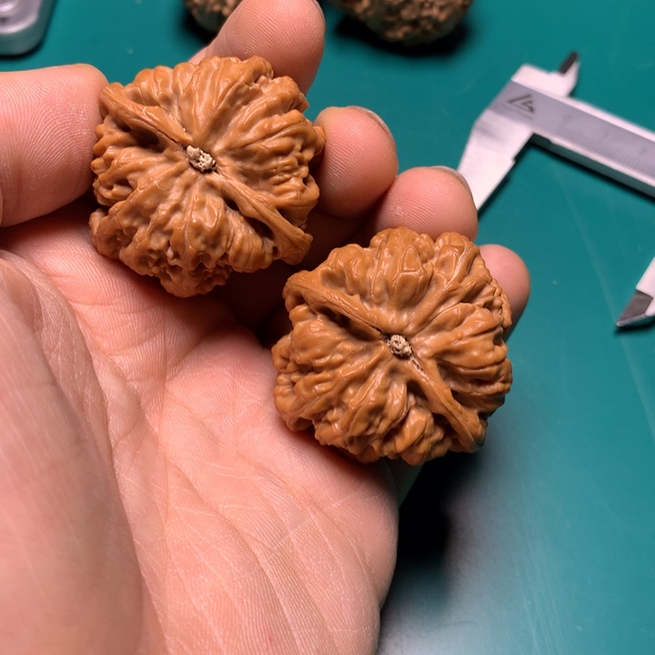 把件文玩核桃浅***兮粗筋