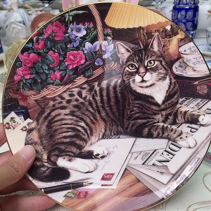 杯维多利亚欧洲中古