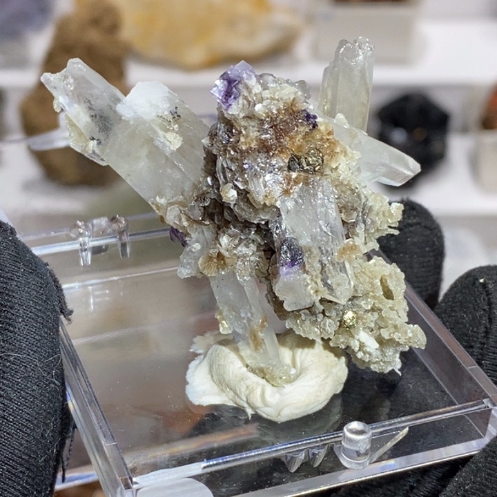 石材瑶瑶张牙舞爪小莹共生