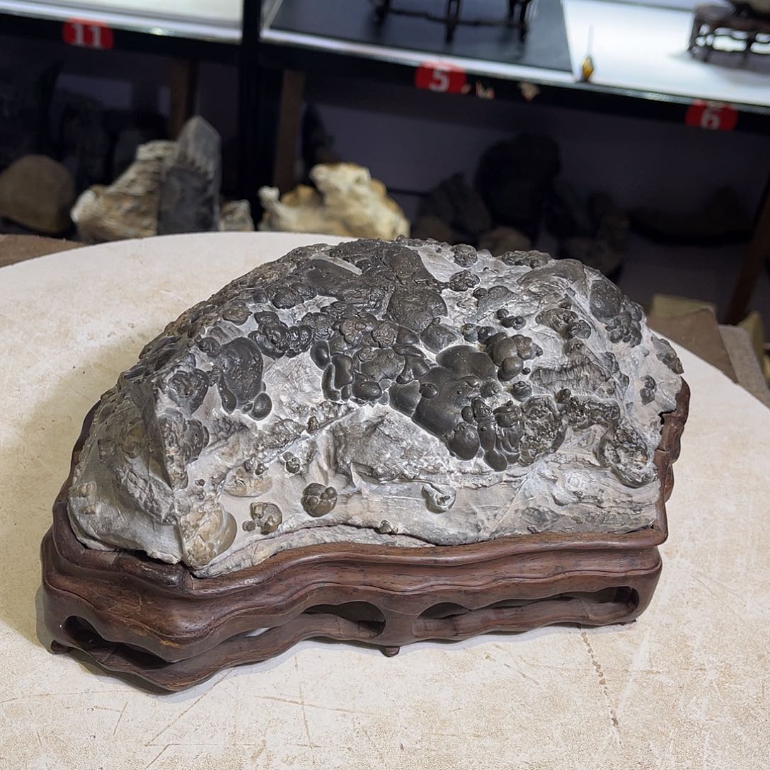 朱泥全场不包邮哦岁*