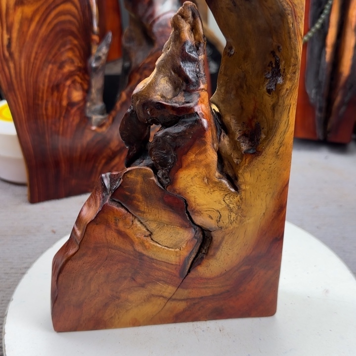 大果紫檀（缅甸花梨）野*