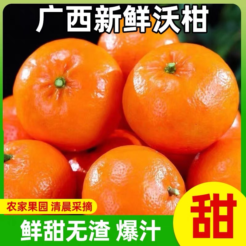 广西武鸣沃柑现摘新鲜当季柑橘桔子水果H