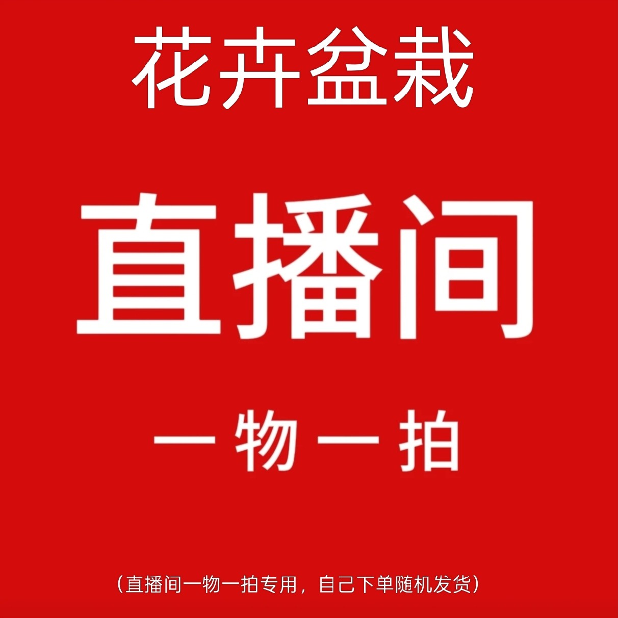 羽衣甘蓝一物一拍（多拍少付按已选随机发货）
