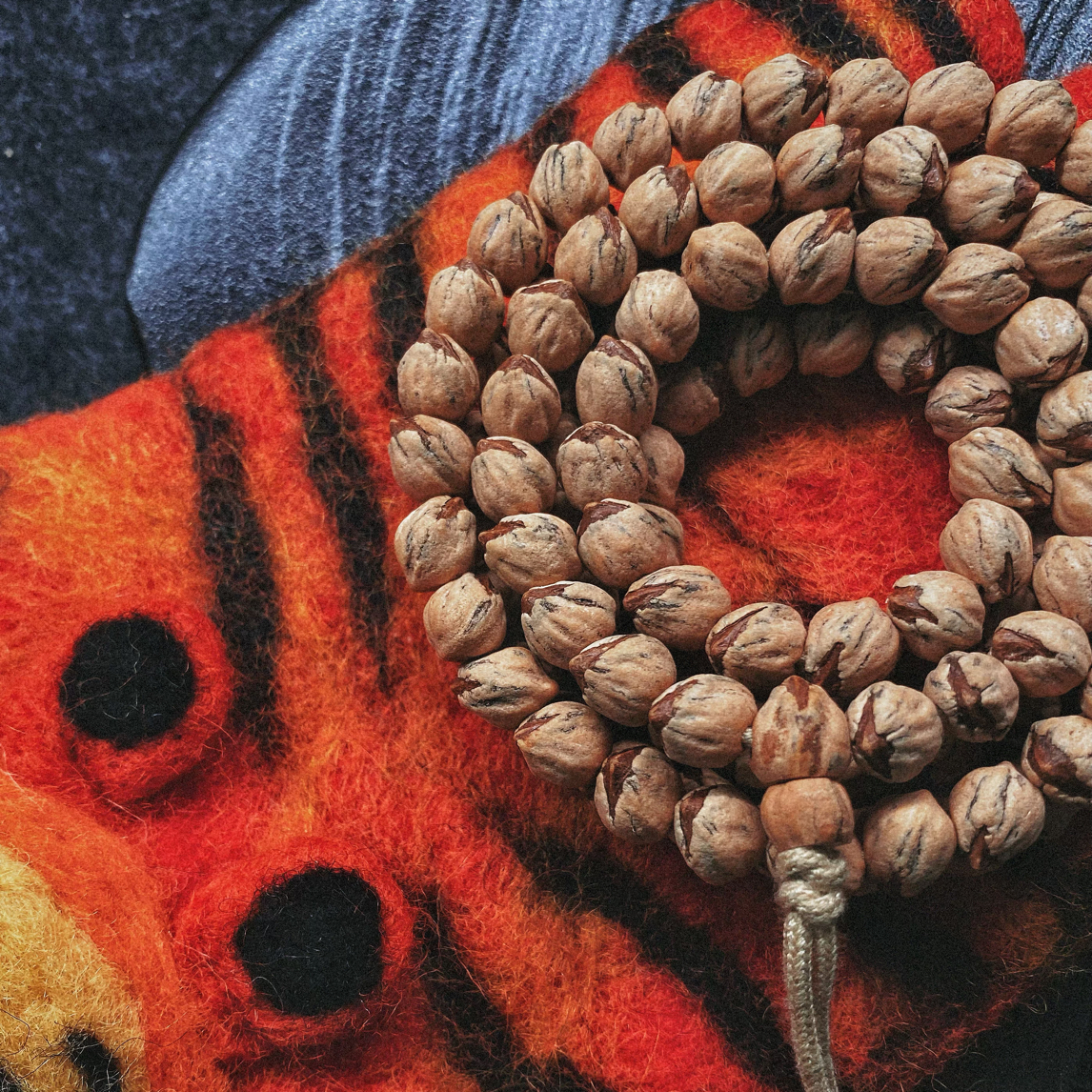 【柒】新品 鲲鹏  红芽斜打  柏香籽 百香籽  原桩 顶级奶油皮