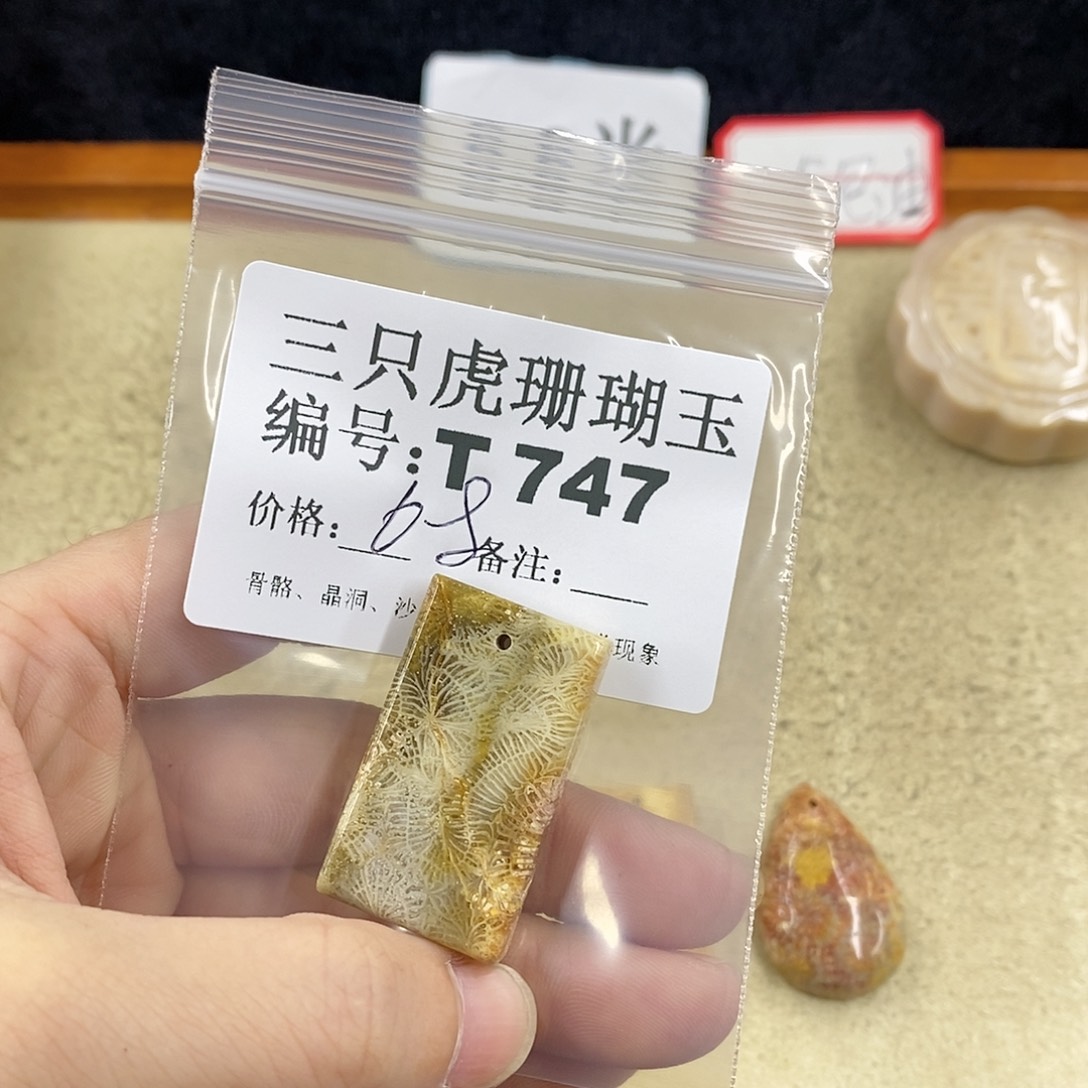 硅化珊瑚（珊瑚玉）1未镶嵌花**岸