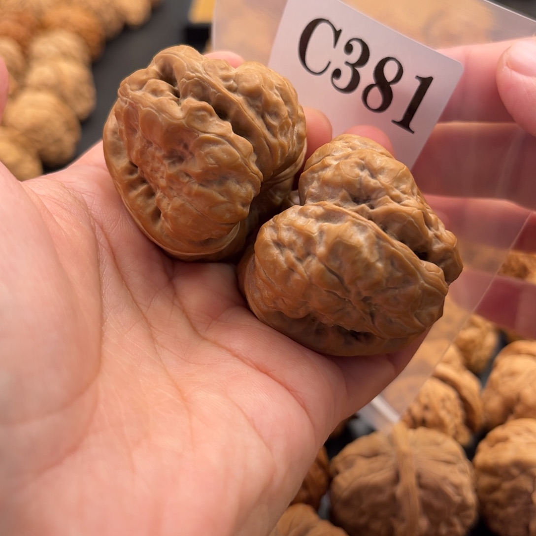 ─***⌵文玩核桃把件蛙蛙精品41肚46