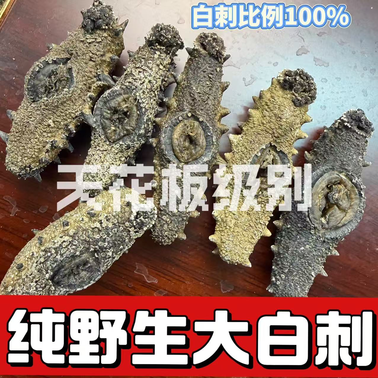 【大连外海纯野生】国标高泡发大白刺特纯淡干深海天生天养辽刺参