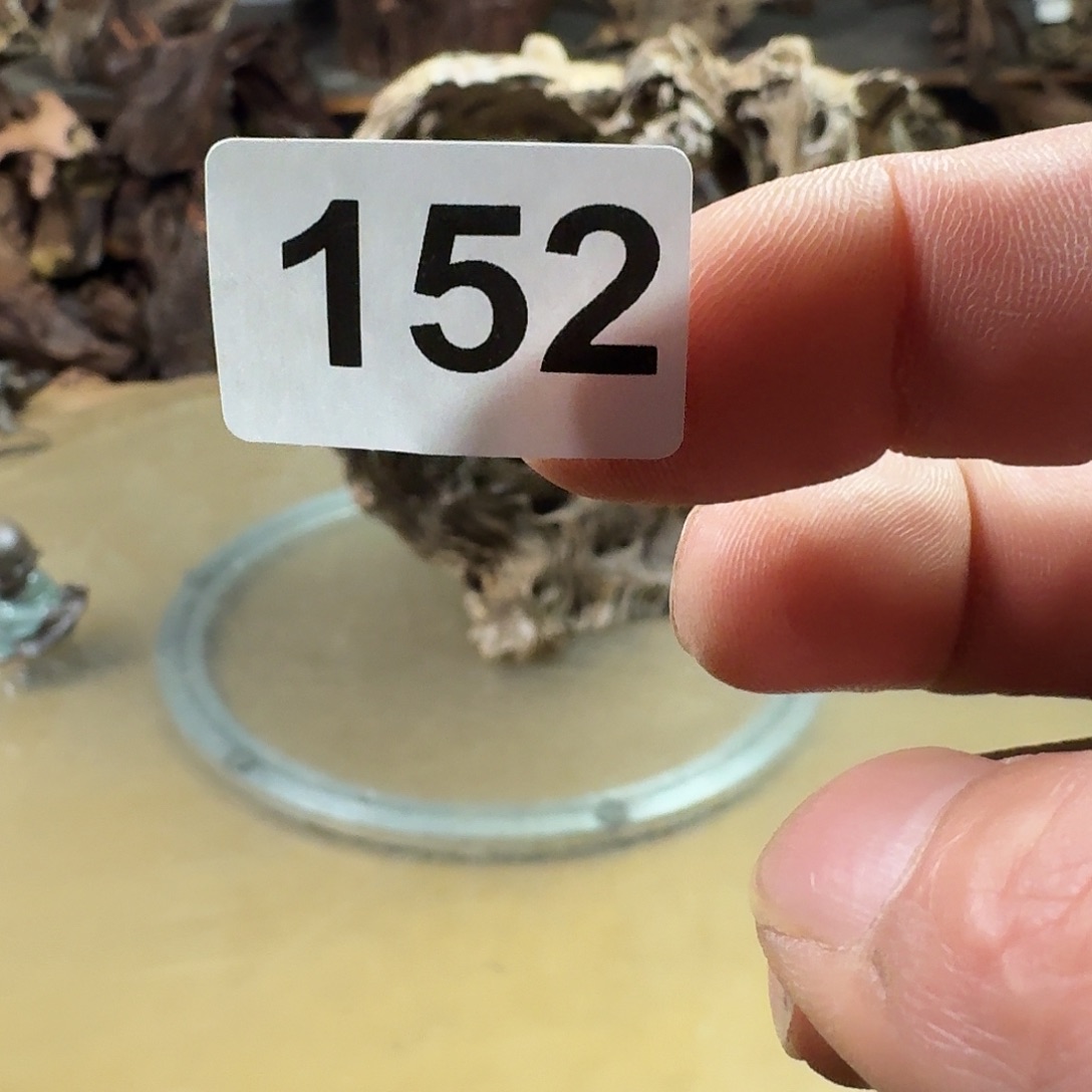 卡***穆香榧木我也想要这样做的