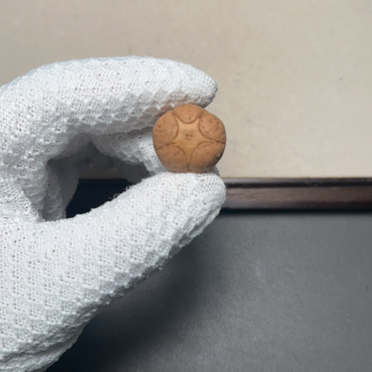五星定制尼泊尔凤眼菩提