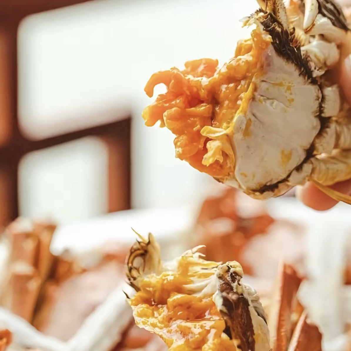 【活蟹】盘锦河蟹海鲜母蟹0.8-0.9两38-45只三斤顺丰包邮