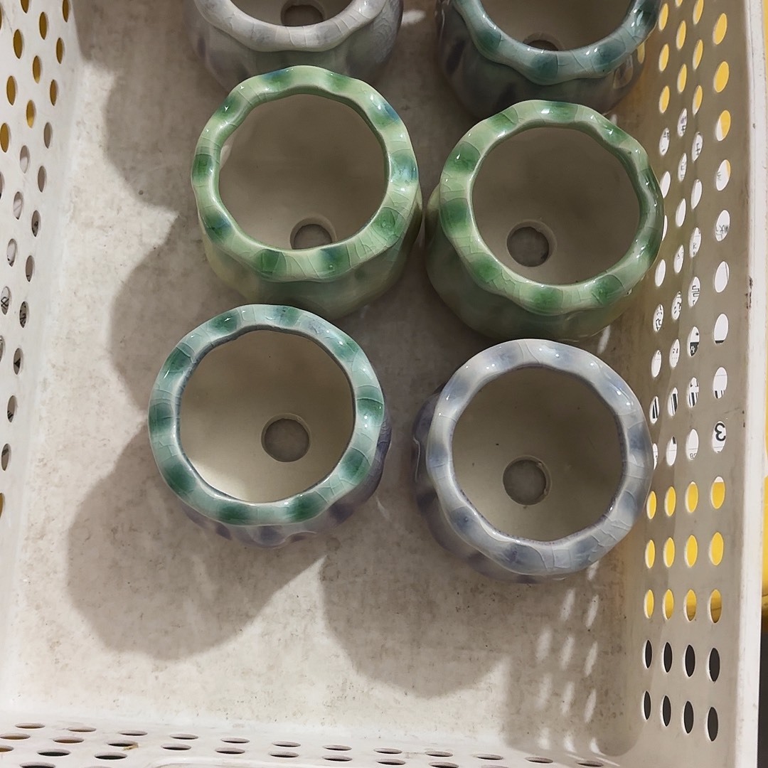 橙***白量货/口5高深浅搭配发6