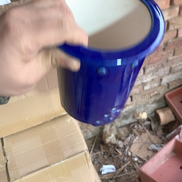 紫砂我要努力赚钱给你们