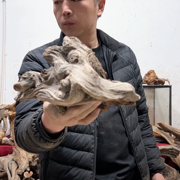 柏木暗**者我们的生活也是