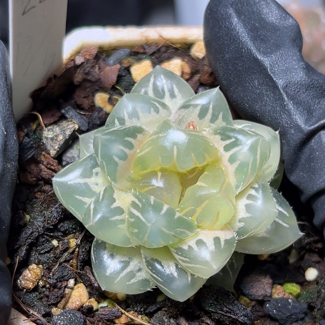 恭喜发财大吉大利928