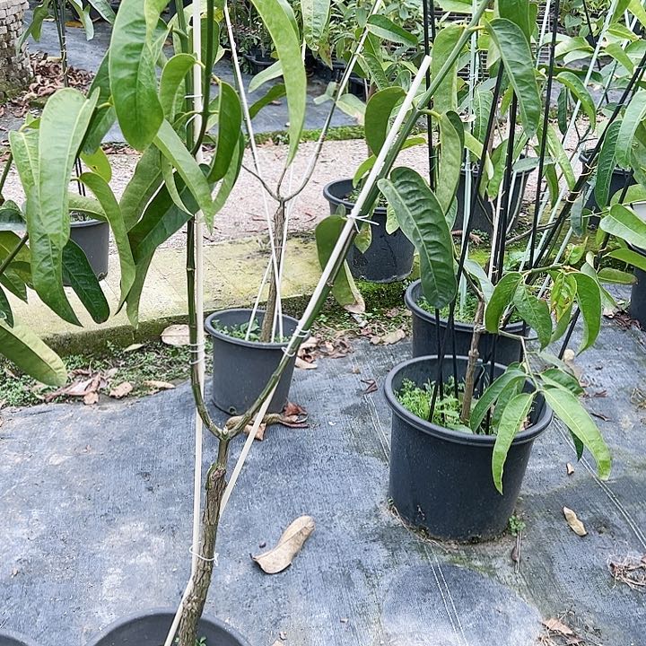 津**铁12345666777888889