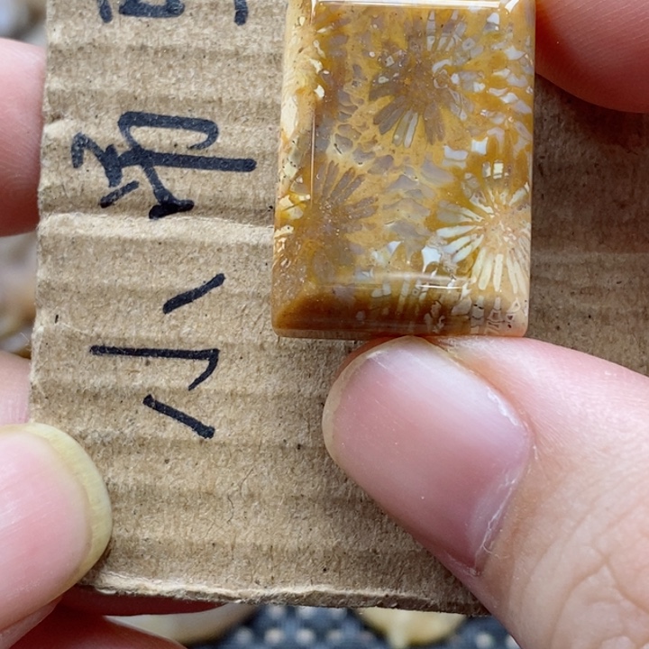 硅化珊瑚（珊瑚玉）颈饰未镶嵌