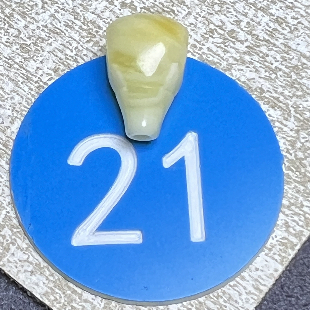 天然原矿蜜蜡金瓷白妖花精工三通 尺寸9.5mm