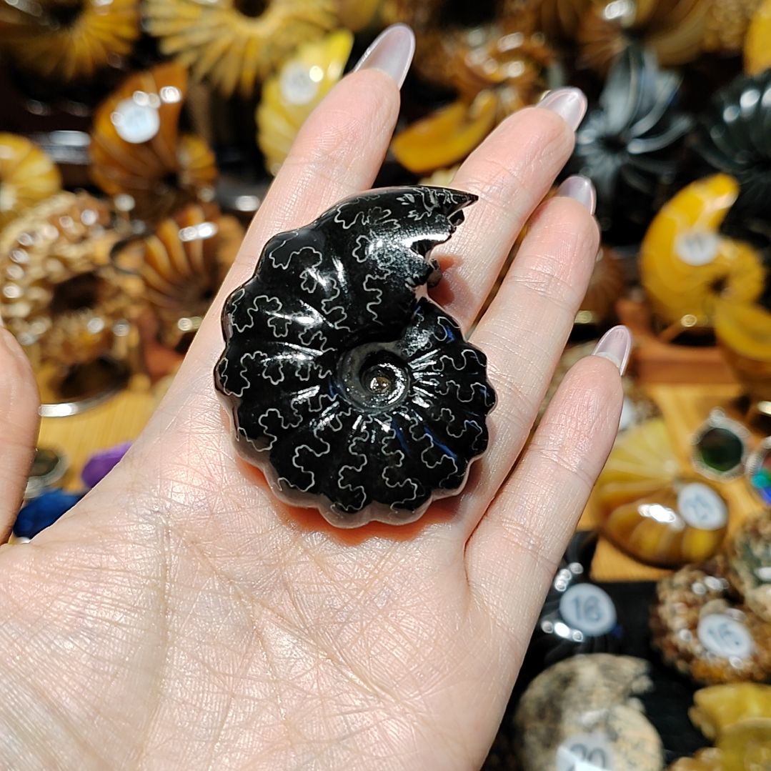 柏***霖有机玻璃123456789