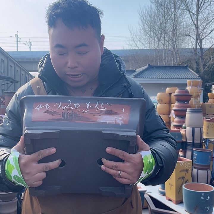 紫砂紫砂花盆盆栽