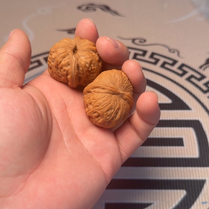 大叶紫檀（黑酸枝木类）