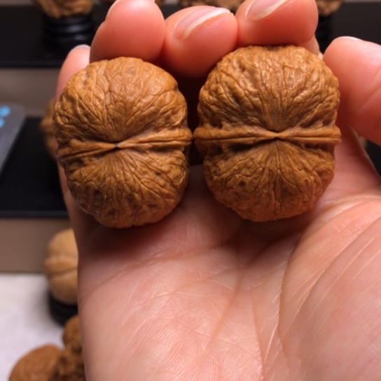 文玩核桃把件鹦鹉元宝12