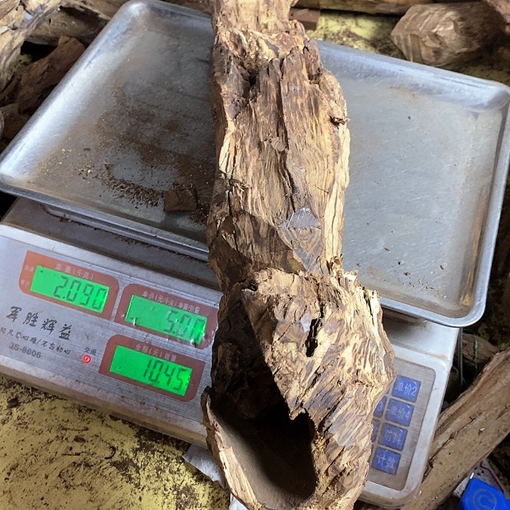 黄花梨/降香黄檀自****。