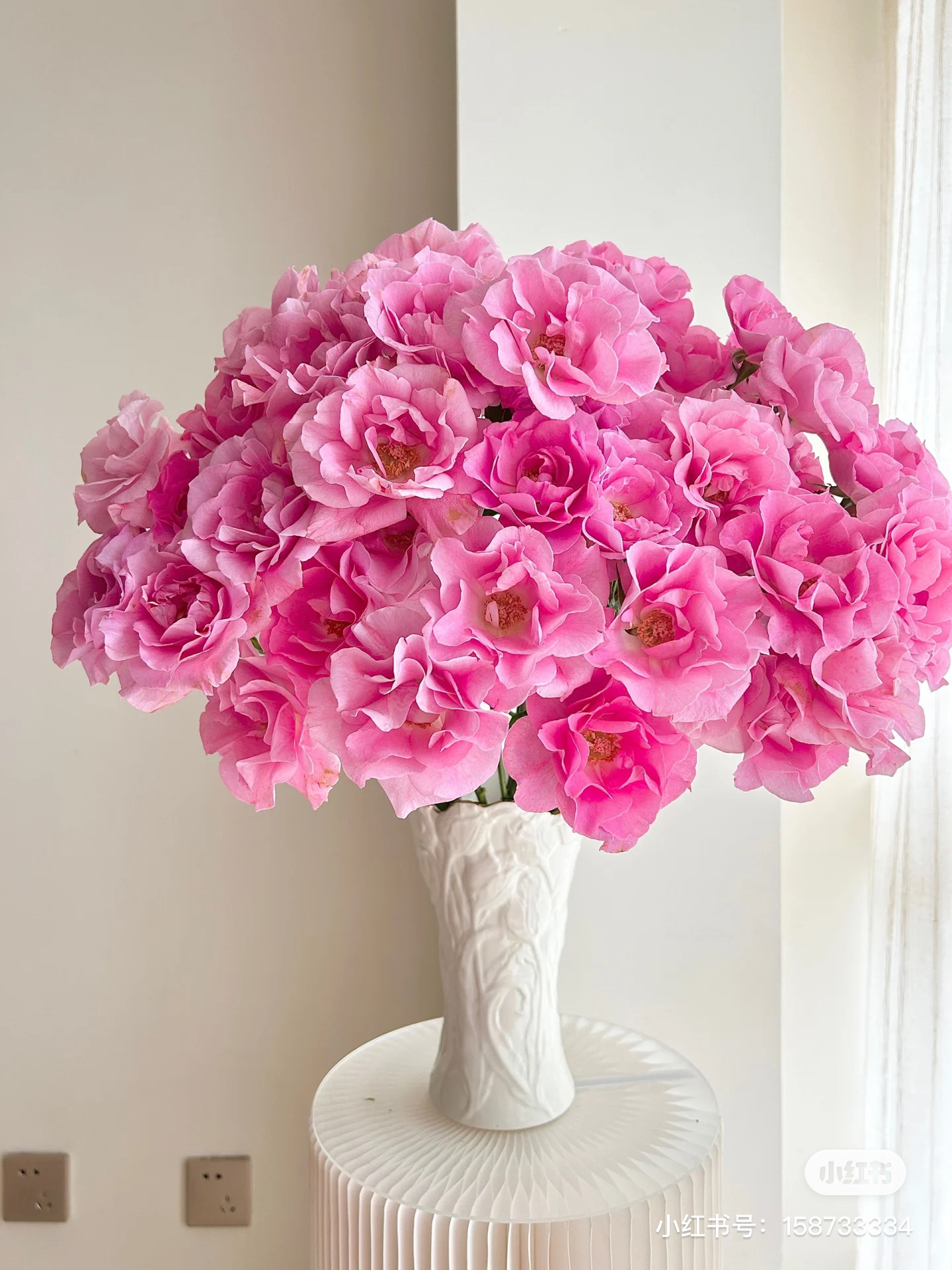 【俏夕阳】魔朵 任拍三单顺丰空运包邮鲜切花家居花店插花