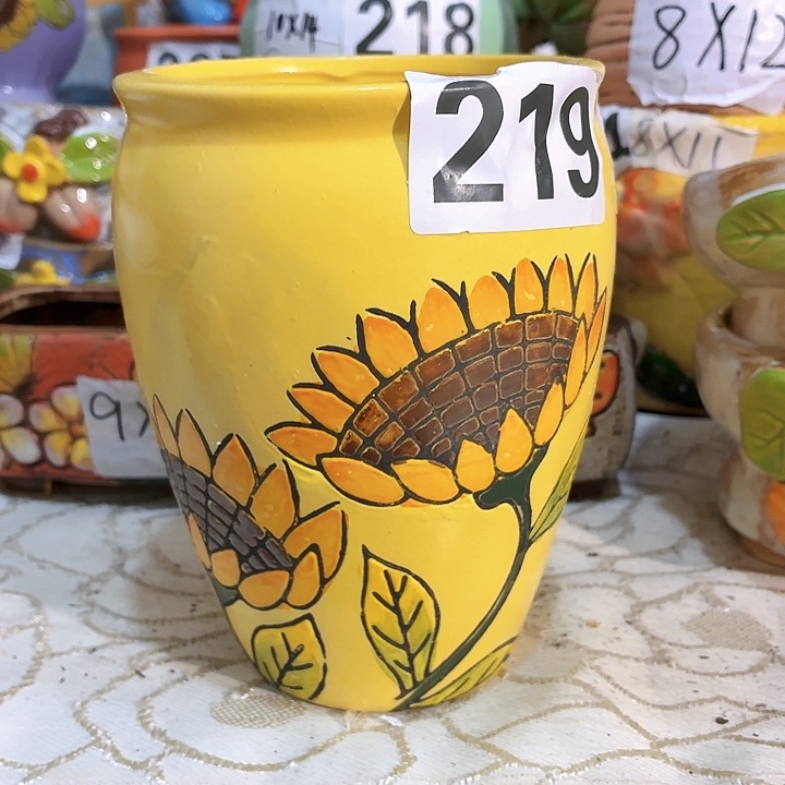 多肉花盆满15包邮