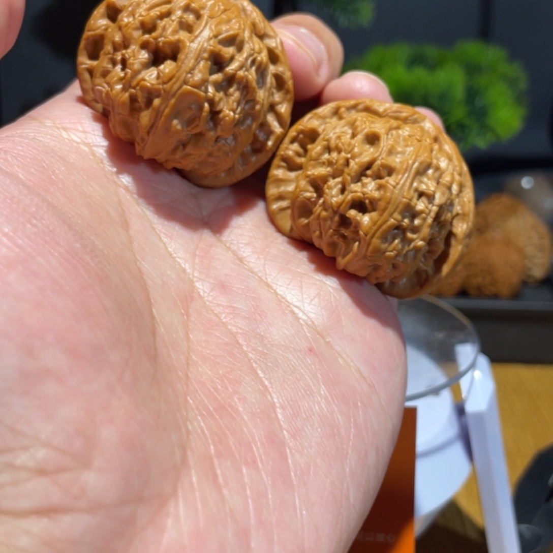 文玩核桃把件42白狮子有色差，378