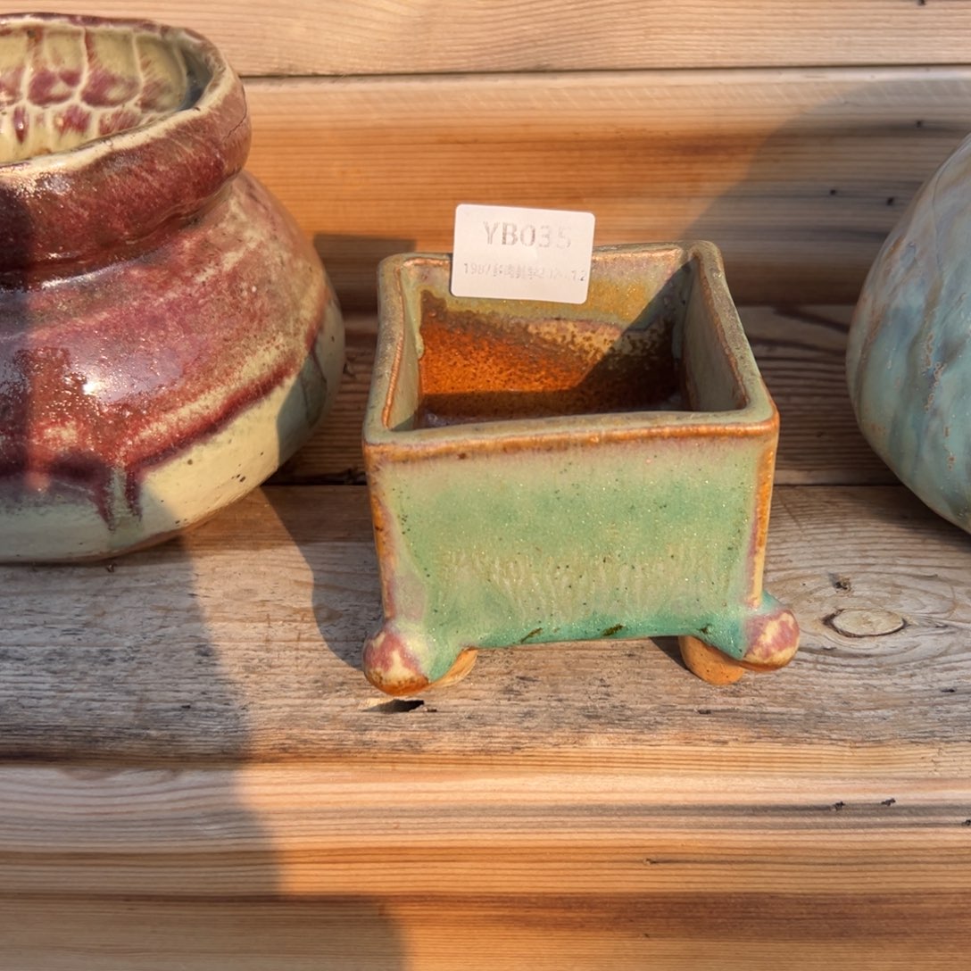 就***️yb35盆盆盆盆盆盆