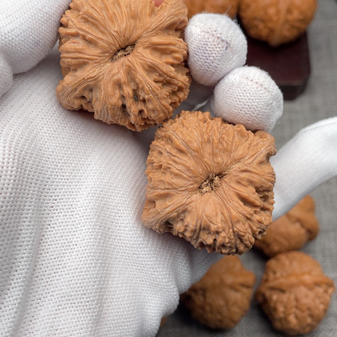 文玩核桃把件谢*肉42全品泥鳅背绣球