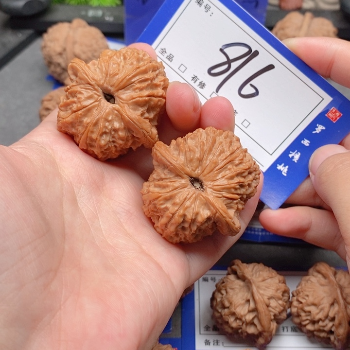 把件桃核41全品血麒麟816号牌