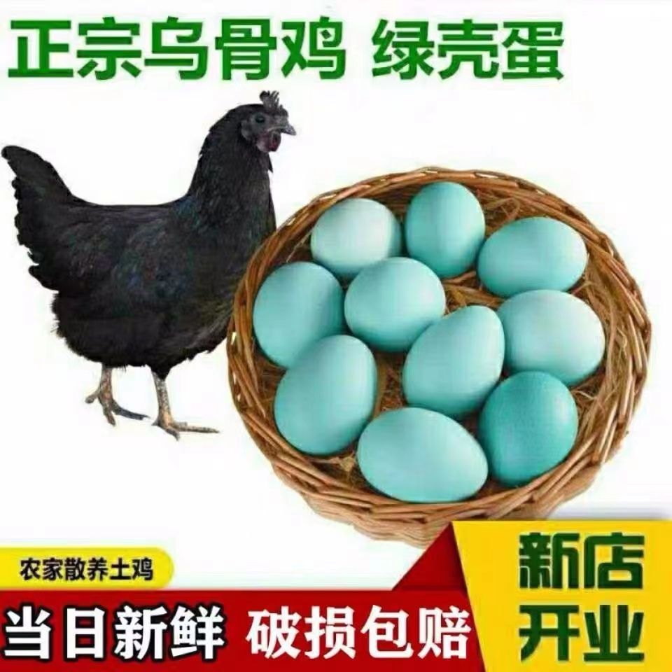 【助农】【超划算】正宗绿壳蛋乌鸡蛋农家散养土鸡蛋笨鸡蛋青皮壳