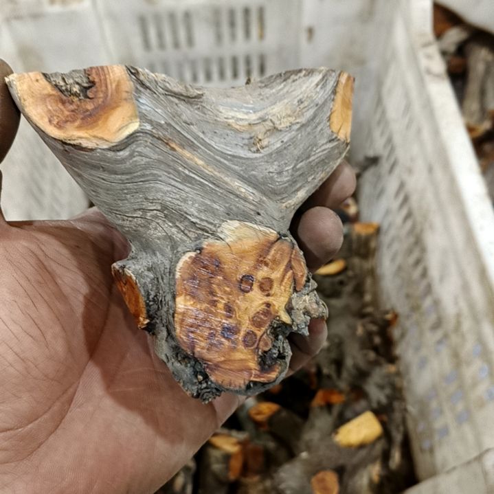 可***.香榧木崖柏随行毛料毛料毛料毛料