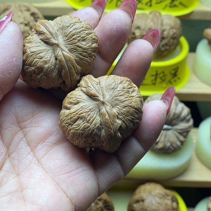 拍吧拍吧拍吧拍也拍吧