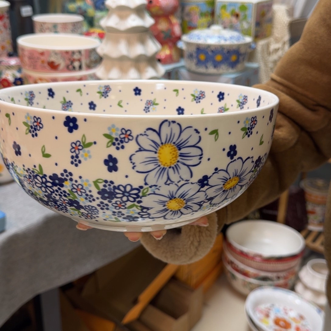 陶瓷10英寸蓝雪花大盆1只