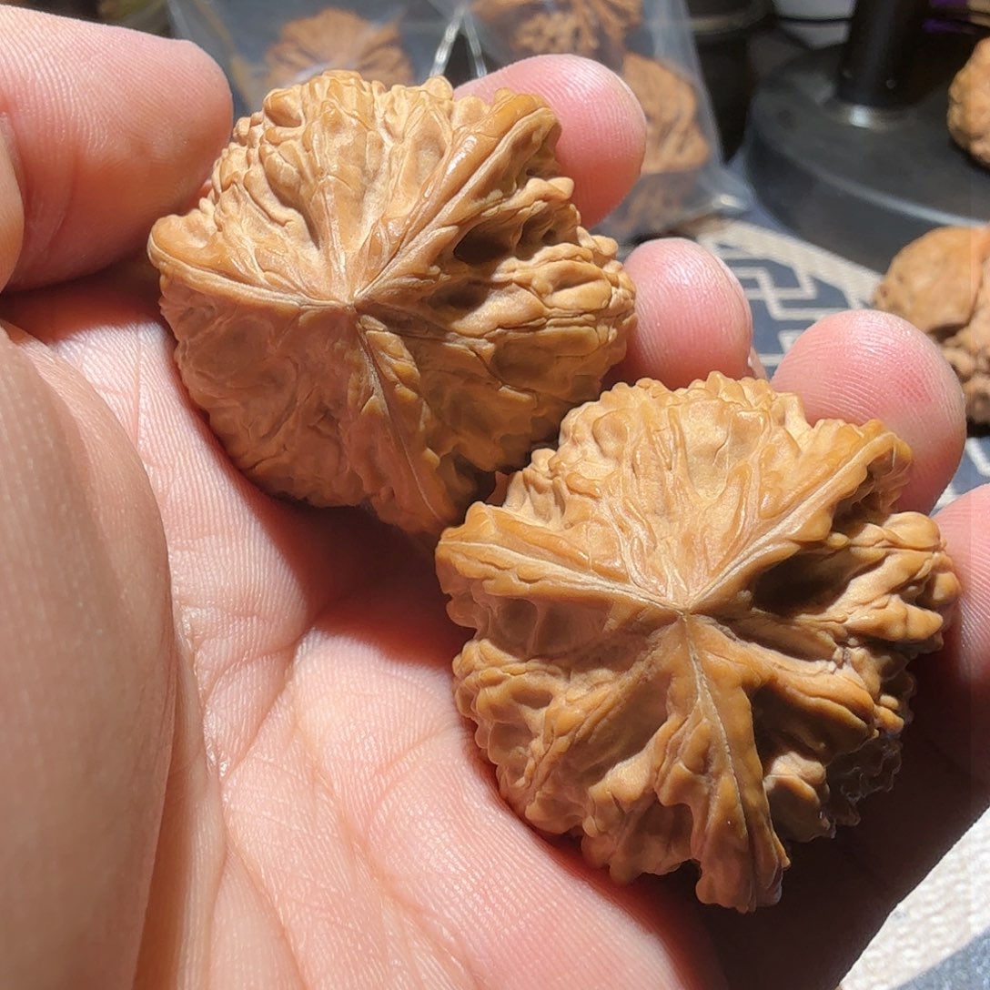 文玩核桃把件御龙