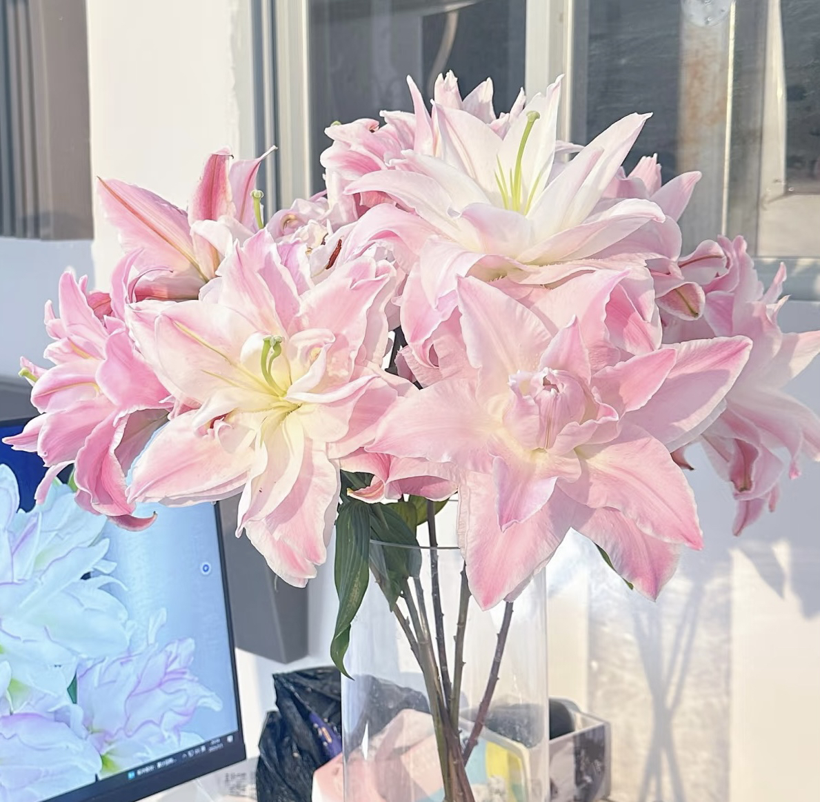 重瓣香水百合～双钻～顺丰冷链～当天发货