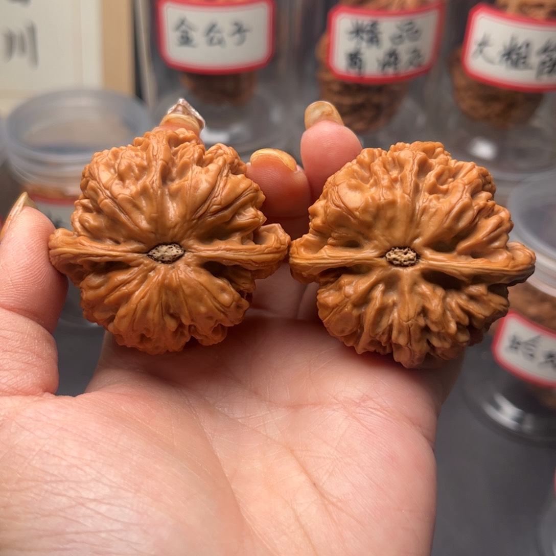 文玩核桃把件飞***膀大粗筋  48.5