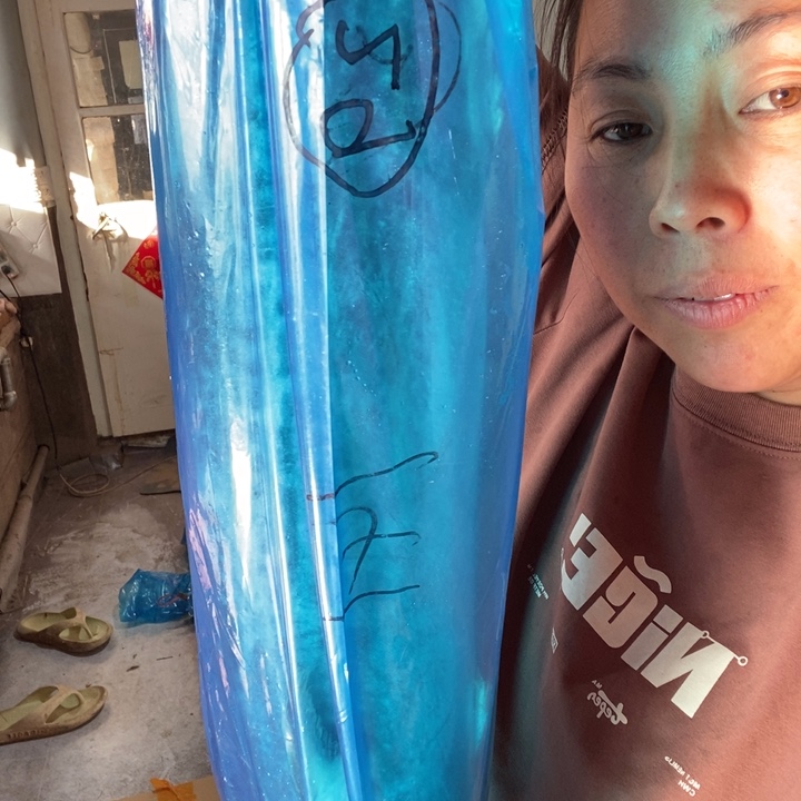 快***光中国大陆渤海湾野生燕鲅鱼29号